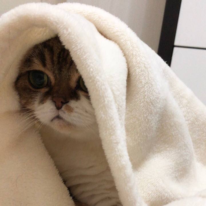 46a28d09 dde8 41ba aa34 45c84fd6a8bc 1540909237212