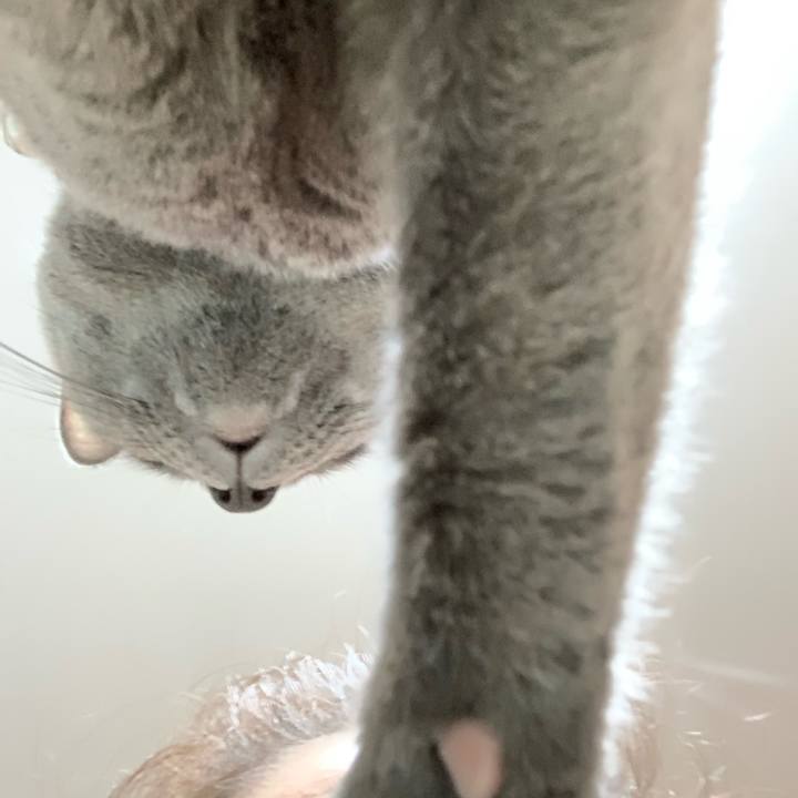 46a2b2ca 2362 46a0 8db4 d8a6e8d0c02a 1599393037497