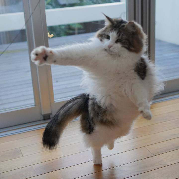 46a2cf60 15f5 4338 8366 f8cd7c76b95b 1608686602354