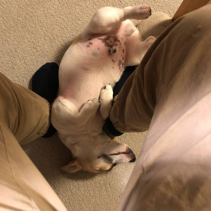 46a2fe5a 1954 41a3 884f d4e13d2a7e51 1552229501107