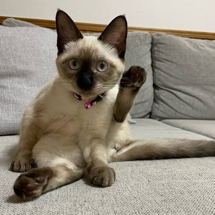 46a2ff00 c7a7 43d1 babb be7b01a783af 1694980924571