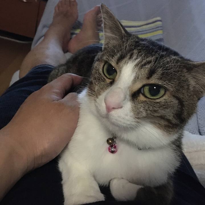 46a31ad2 dd12 4a1c a024 31eac273a989 1699195735413