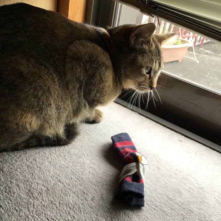 46a32c84 d1b1 477e 9a16 5792b18f8e92 1585711576200