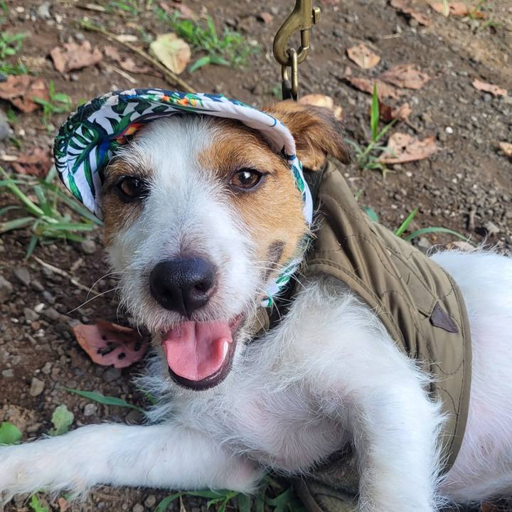 46a3705e 25b8 4e33 8613 b7d4333d2fd7 1692494165754