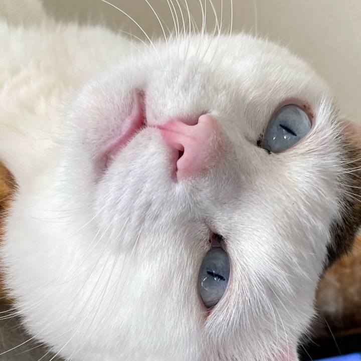 46a37e48 7f79 4ae1 abb3 7a4bd6116c65 1674867105104