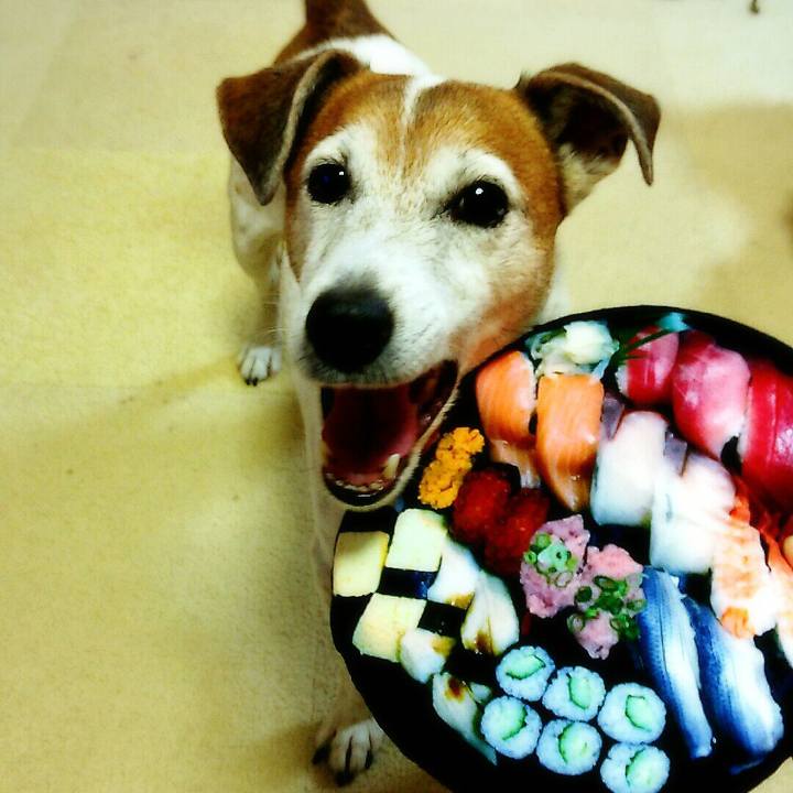 46a3f989 46b4 4989 ac00 64e11f6a91c2 1514898692160