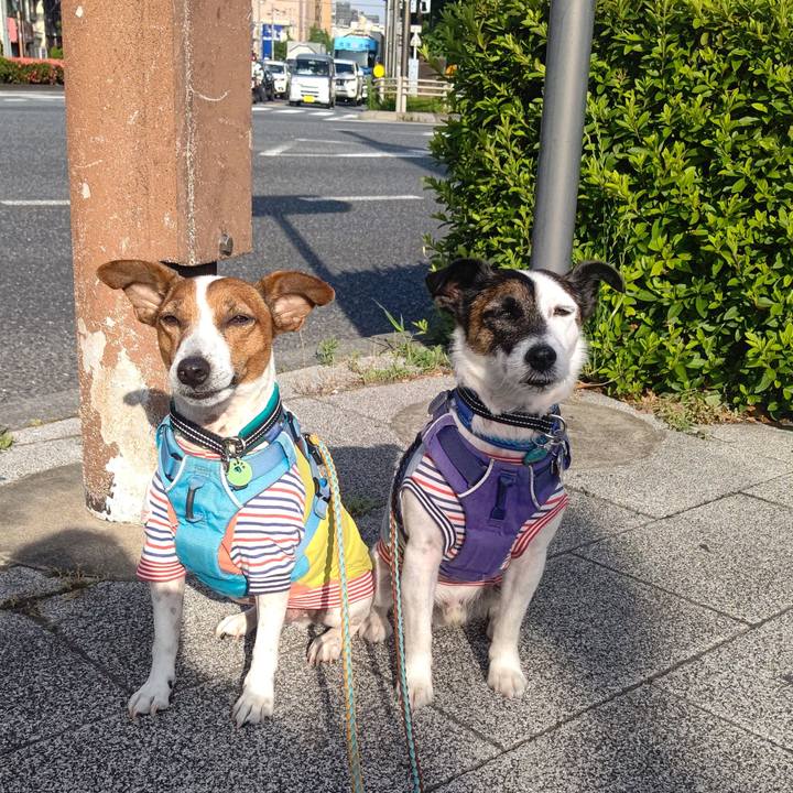 46a40d93 3833 4e66 adc1 7bc5c6980c48 1685139114890