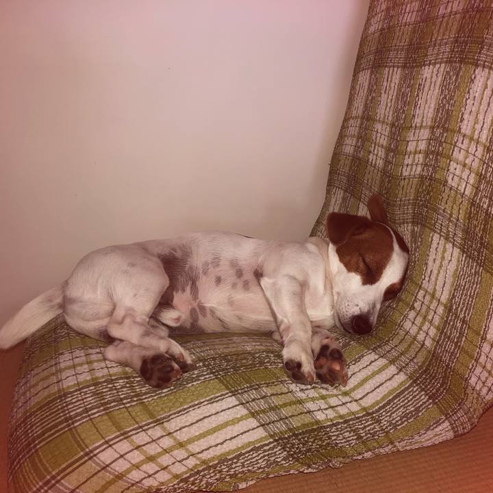 46a45cb1 0a16 44f8 90ac bff4742c8cdc 1560507213502