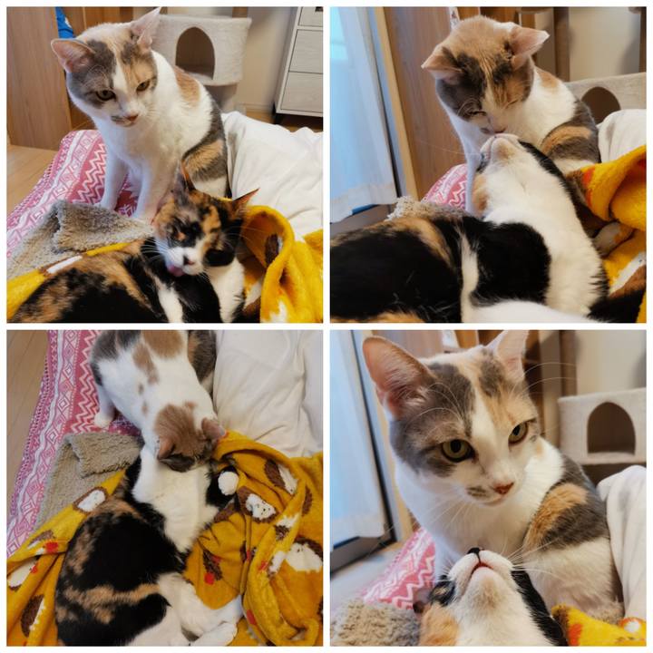 46a4726f a62c 410b 845c a01c2e97f098 1644379841485