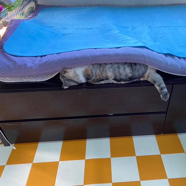 46a474e3 ed98 4b03 b6f2 4ae6c86707a2 1695106239436