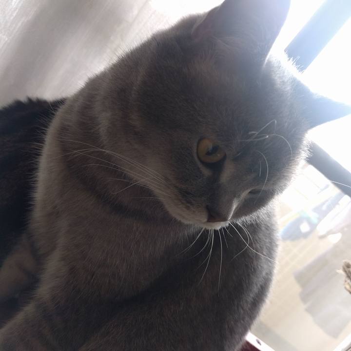 46a4c875 46a9 4bb7 95fa 39c55bf27eb0 1556939221030