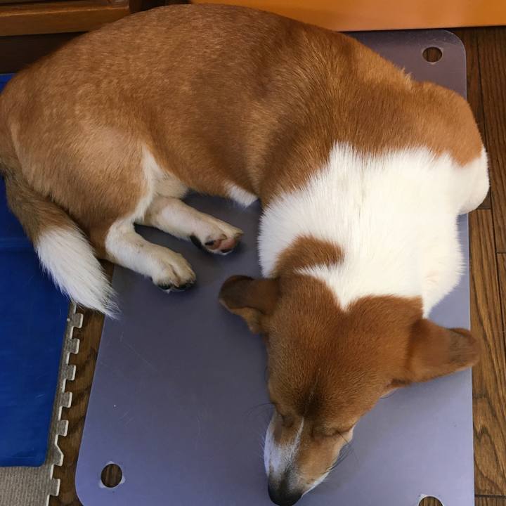 46a4f4ae 96a8 41ee 8c73 02cf7ecc10ff 1599743461980