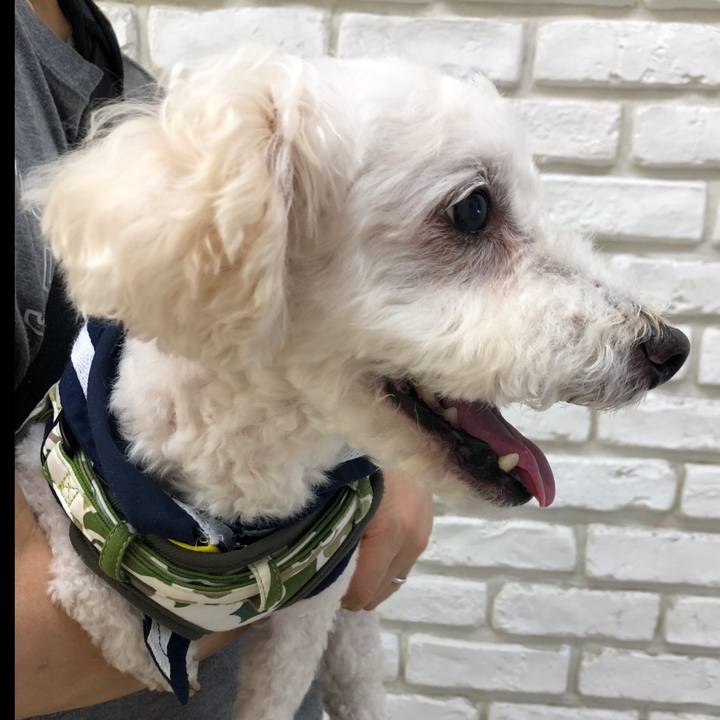 46a554ea 4e33 4171 b8c4 55918756491a 1560932793144