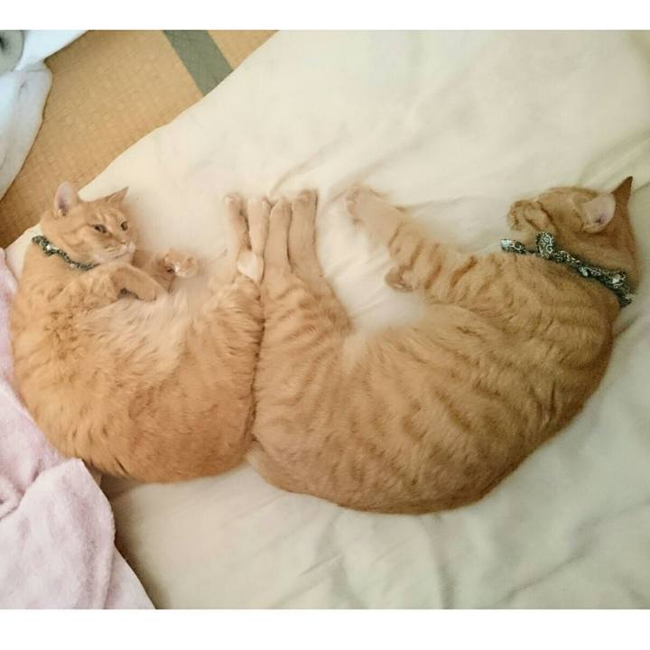 46a55a81 1d97 481b 9f6a 93172e928c4a 1561789403972