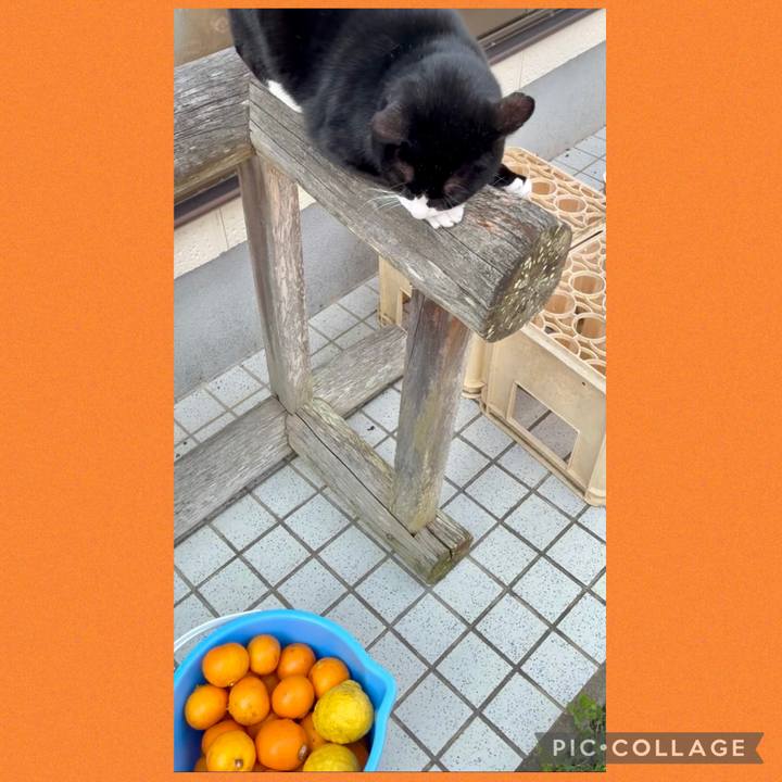 46a560d7 239f 4aa3 be6e 593d6ea327ba 1773630313932