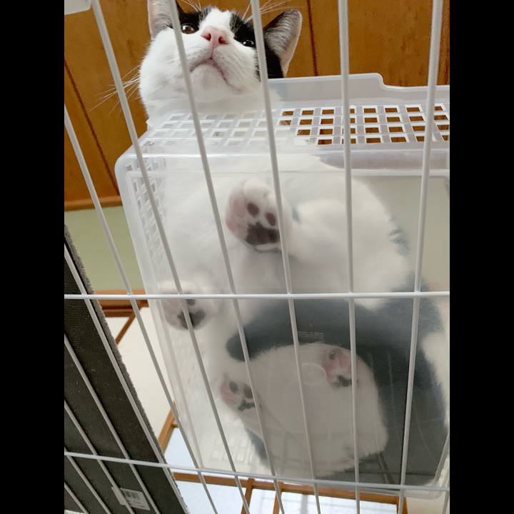 46a57235 403b 4571 85e8 febf6165f73b 1540001952399