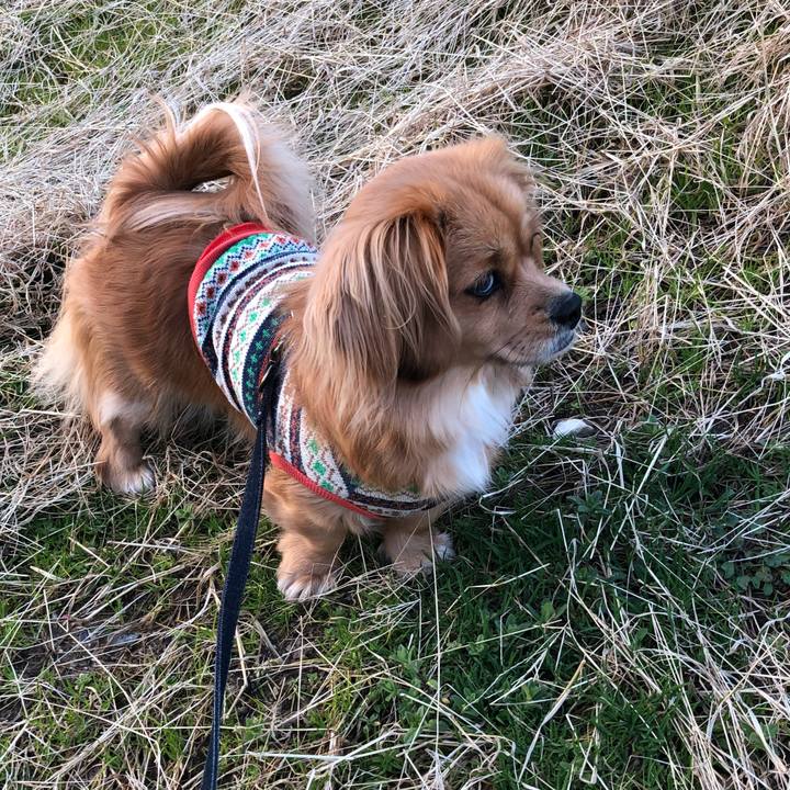 46a5a448 c1d6 4226 8563 3b456412a527 1520894492254