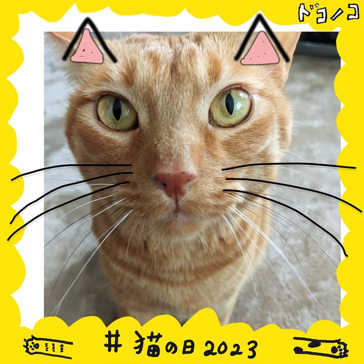 46a5bd0e 2224 44ae 8b98 e4670123ce30 1677020623721