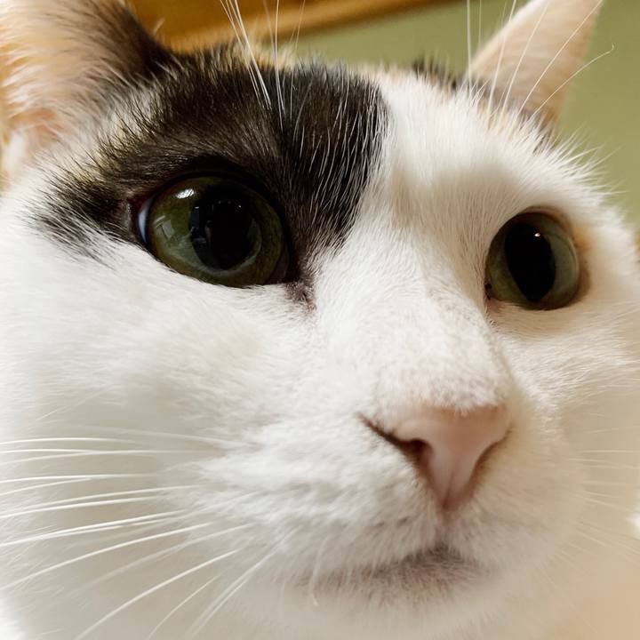 46a5d52c f5f4 4d6f b850 249a0bac61d6 1552962472230