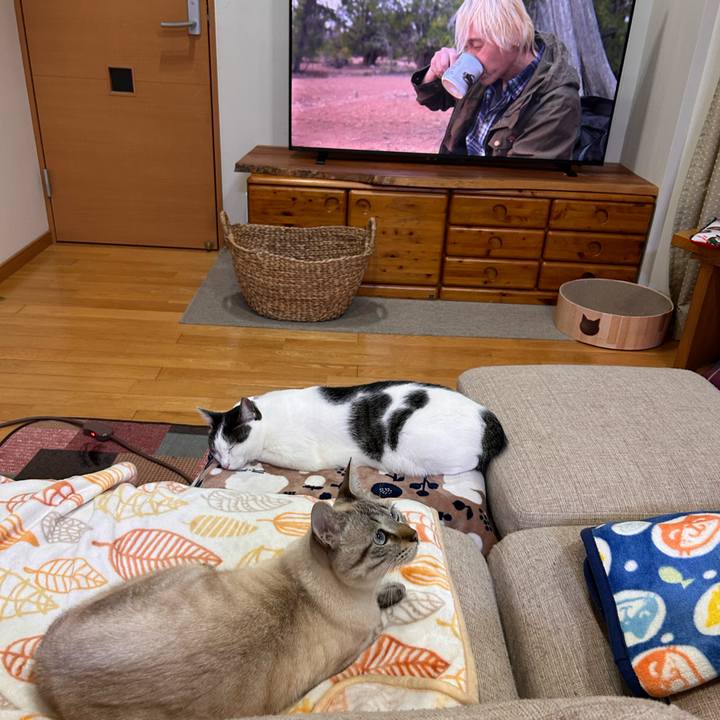 46a5e38a f0d2 4829 b676 b0eedb27b79d 1767010675605