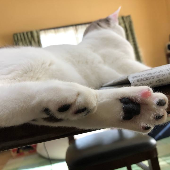 46a70481 d0b1 4bfe 9655 f9605f56cd18 1577766706118