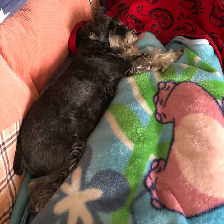 46a73f2f 4b4b 4b4b 962d 9c448e846e4a 1654676422534