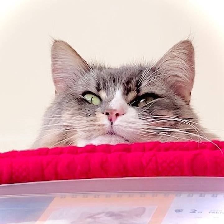 46a75601 b73e 46db 8ed9 6f55f6bcd64d 1581140448038