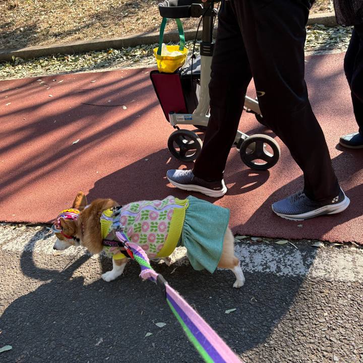 46a75bdd d98c 4168 bae8 b10a9878dc24 1769919582133