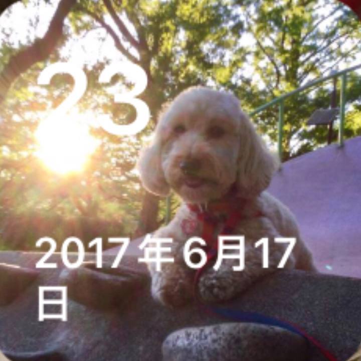 46a7758e 6c7c 4d4d b78e 3c56325da275 1687497034234