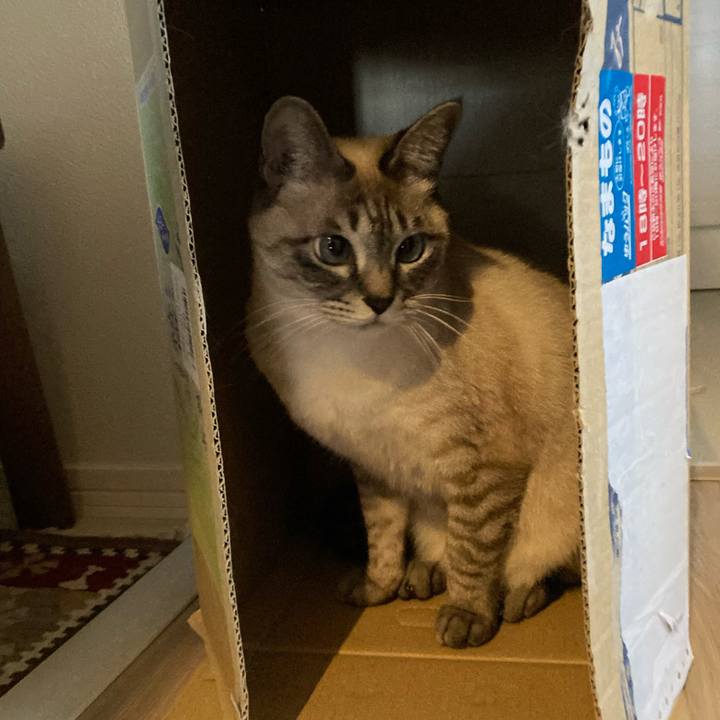 46a78581 c644 4f6e a4b4 bfd950717cf4 1739076517242