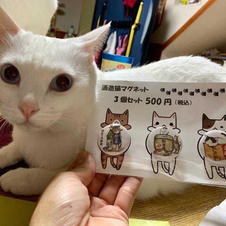 46a79039 ffcd 474f a26d 2524872cf2f8 1566652751269