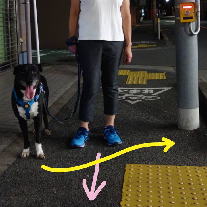 46a7947d fc2a 4acc 9339 2fdd48b32e8a 1695034803406