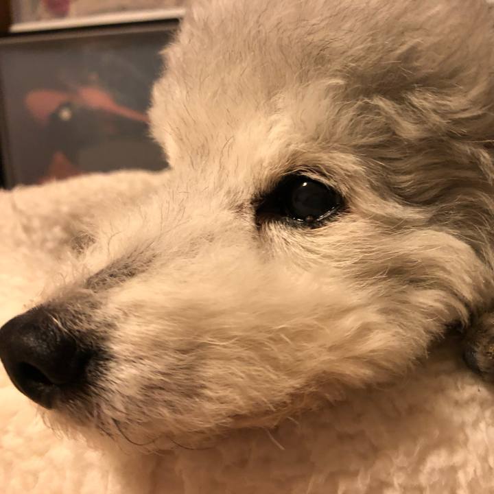 46a79d0d 4b0f 405d 831c d1d16f84ba55 1742817626362