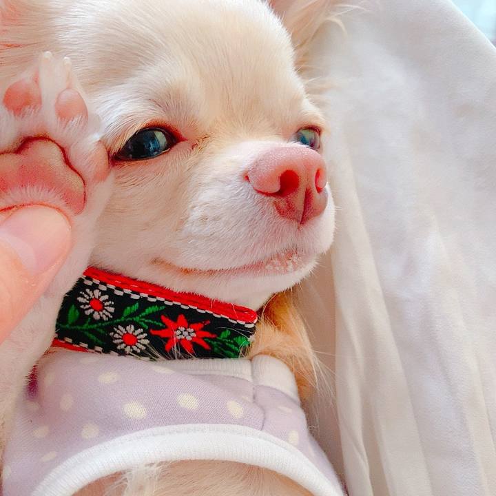 46a7ac61 886f 42b0 9474 d85210837f85 1627877025135