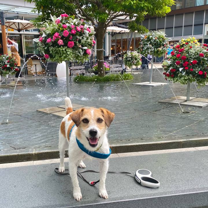 46a7b13e 9099 448d 9701 2c765f15f8a0 1684745738879