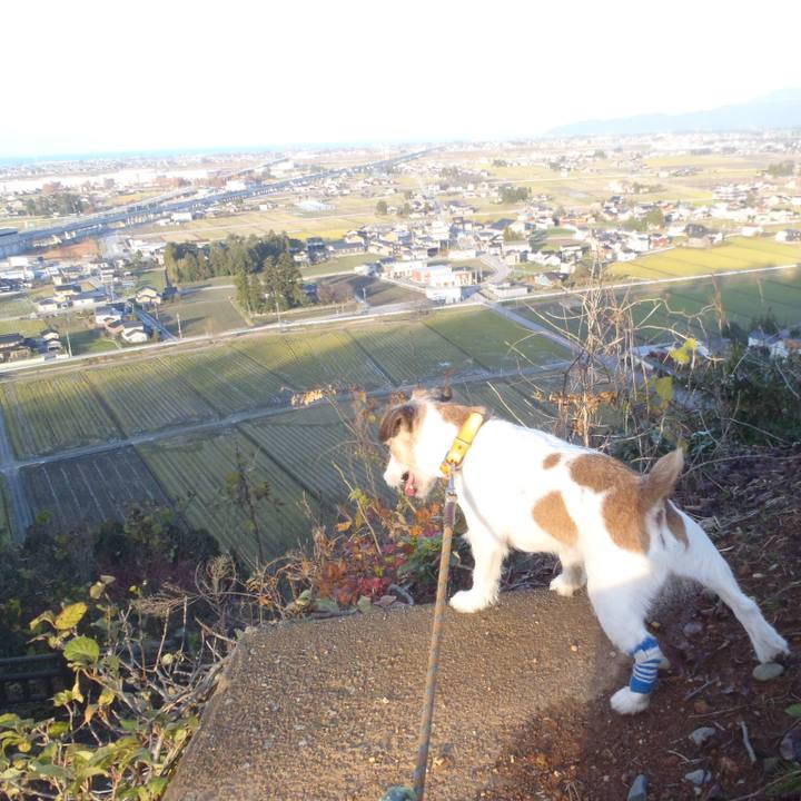 46a7b859 e20e 479c b92c ae87fc256423 1543747843606