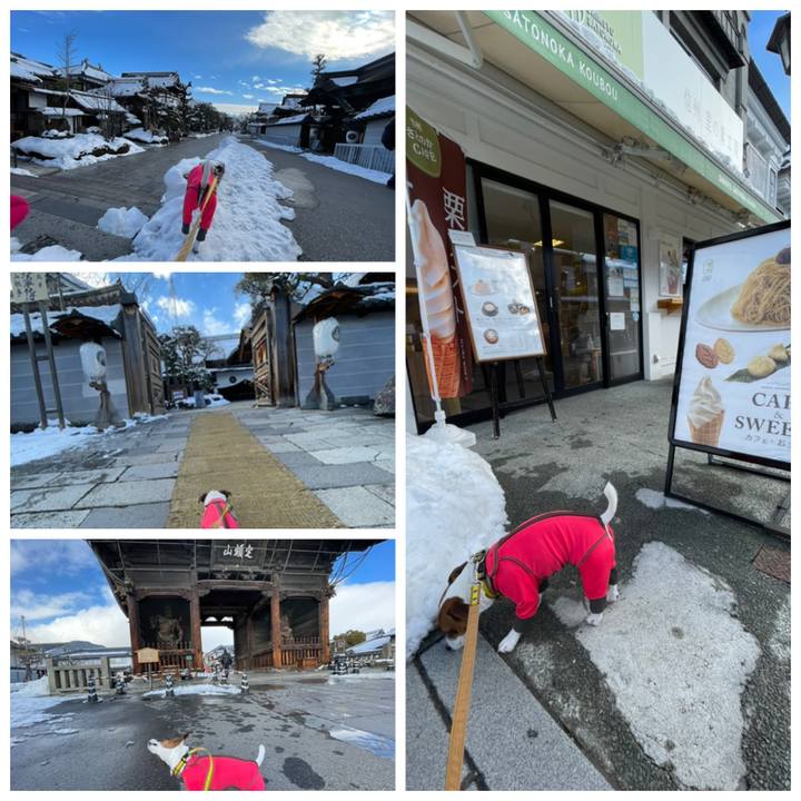 46a7ba32 0046 464d b68a d6d863925b3c 1642574224163