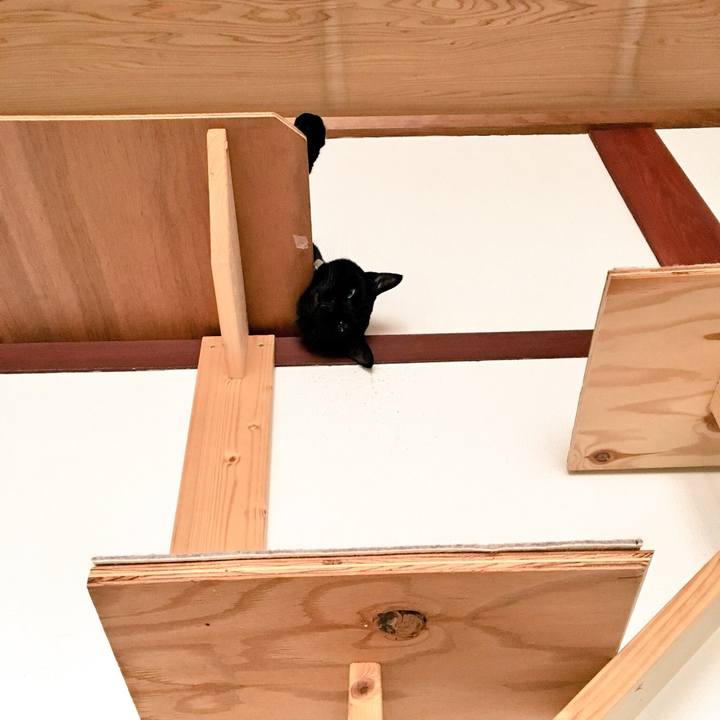 46a7c9c7 149e 4a03 a784 af085bfdd5de 1534983079200