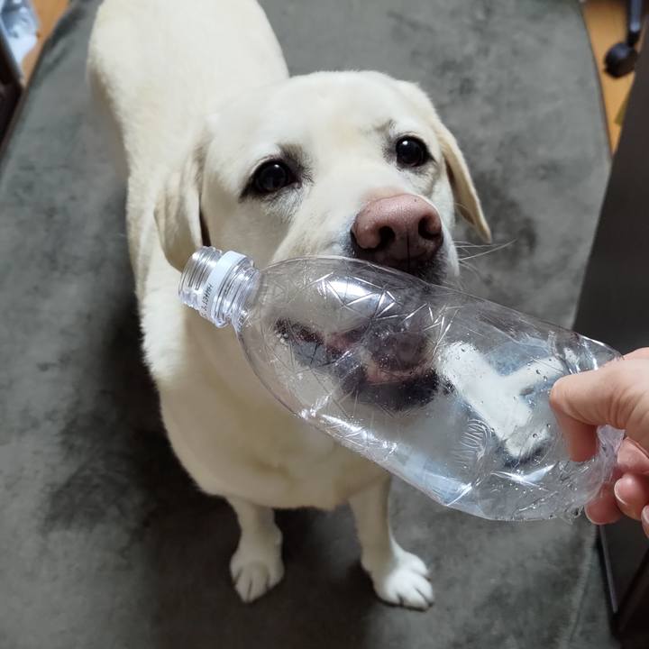 46a7d43a fee3 4687 b19f 3de683961ef5 1669809191177