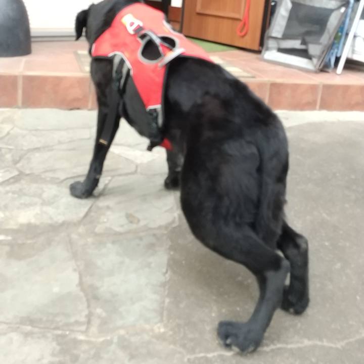 46a80e33 0dfe 40c3 ac08 2297f2f790ac 1700032994981