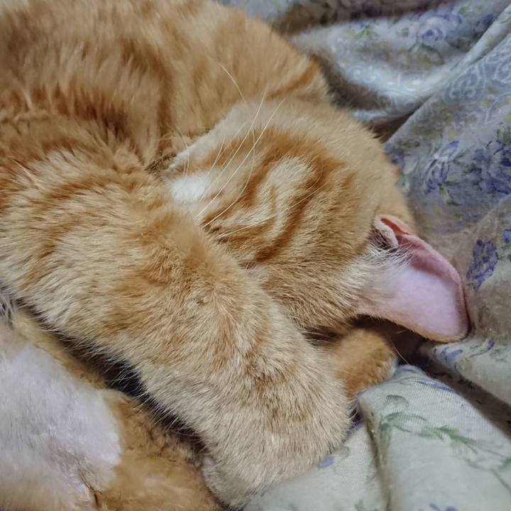 46a83f97 76be 424f 9585 c3e876ac12a2 1654174906586