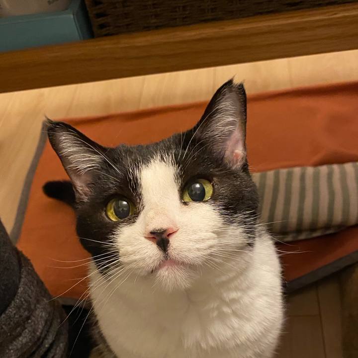 46a84d48 4a85 4402 a90f 34e3a2ba8211 1765358525705