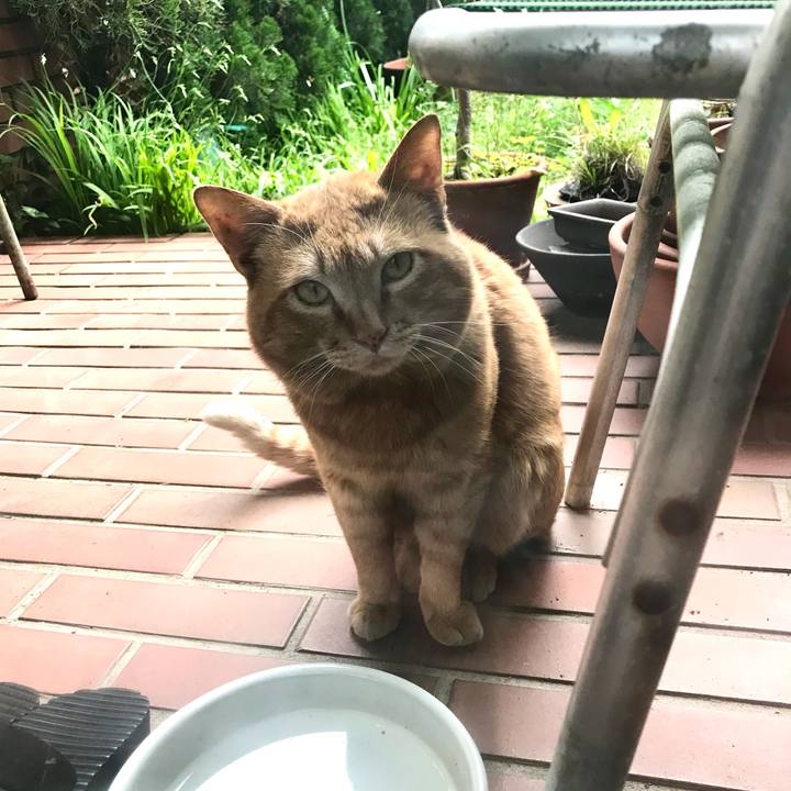 46a85415 f118 4630 8f65 356e75b0e477 1619084094572