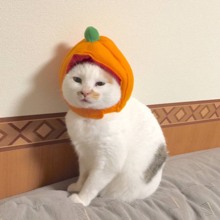 46a867a4 37f0 40eb 81d4 798ad70ad25c 1512450986676