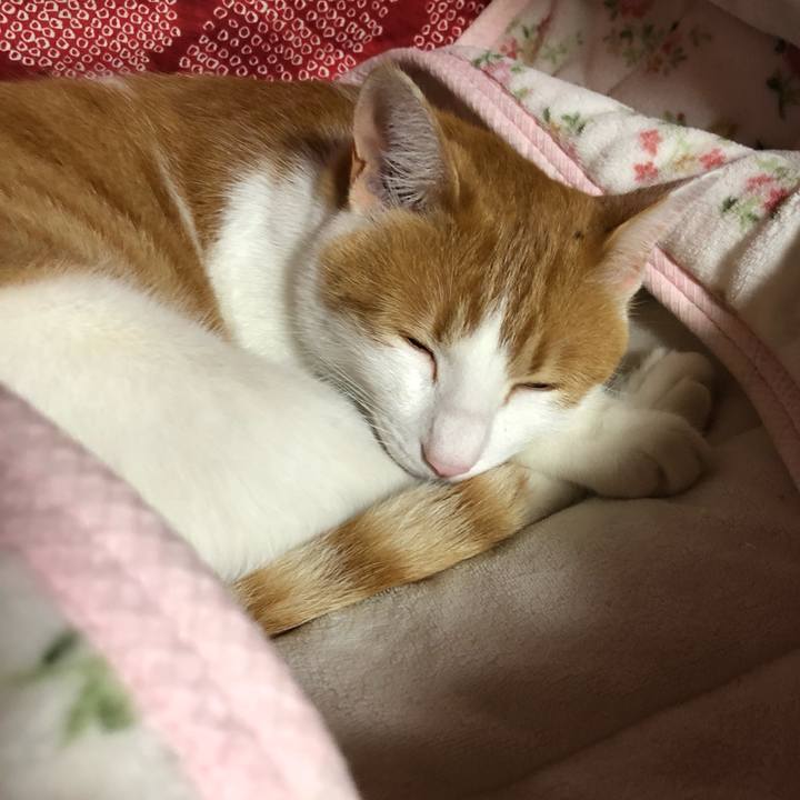 46a8a311 7e88 4014 8210 e39bdfc861a3 1560174140090