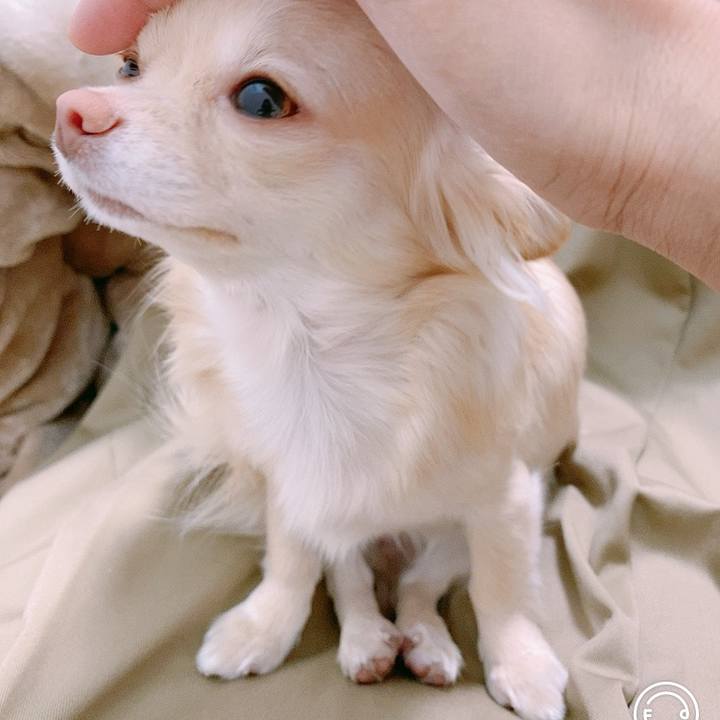 46a8a905 d7a8 42f2 b4cf e60eec896b7a 1611721768017