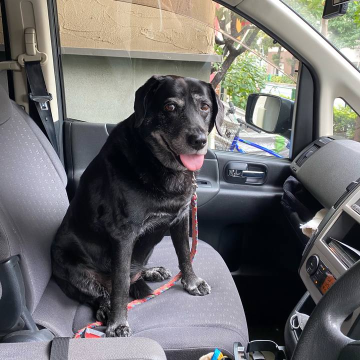 46a8cb56 6004 492c 9545 c3110c133008 1665364819127