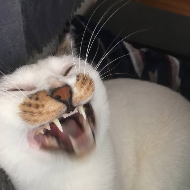 46a8d023 7d66 4109 9ef0 d061303c14a0 1543459552749