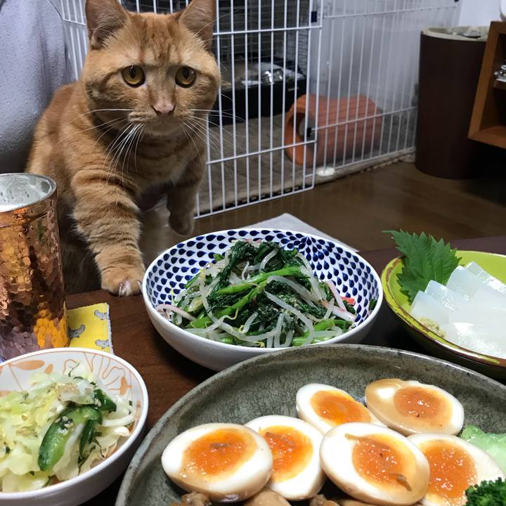 46a90f5d 640b 40ea 8bf8 e8fe06ac8ae7 1540551416927