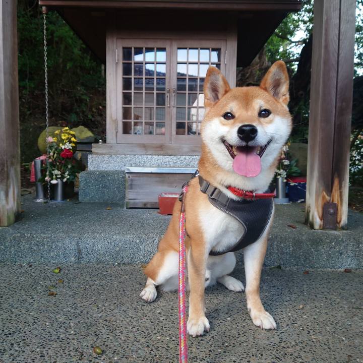 46a917a6 02b0 4259 b71a be22ebad531d 1762073076615